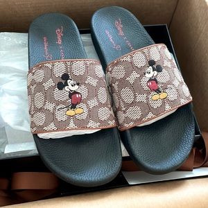 New Coach Mickey Slides